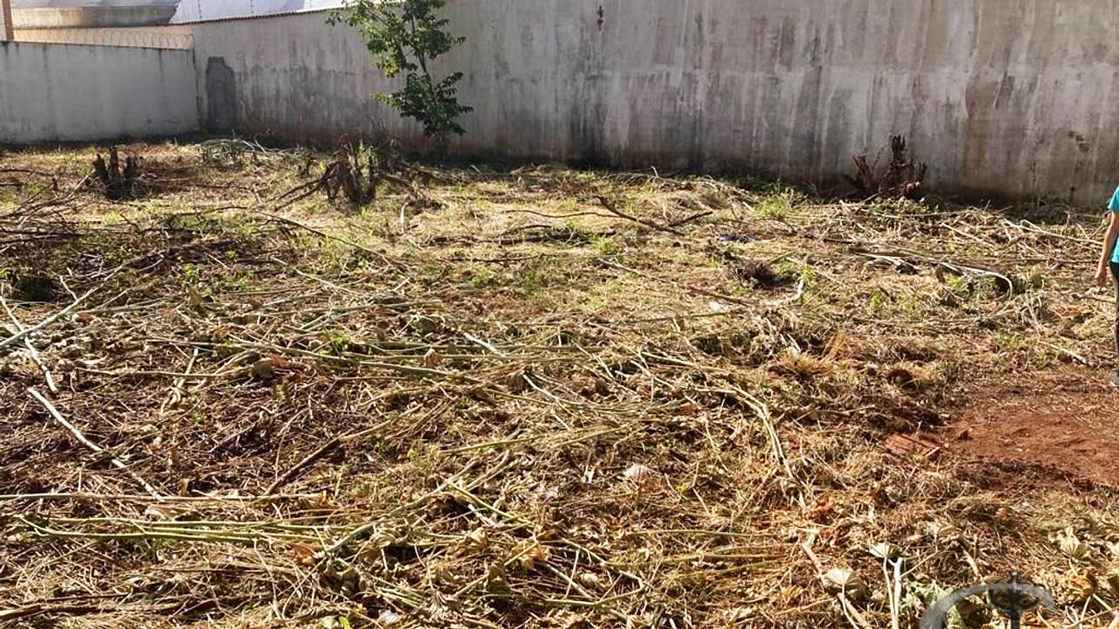 Terreno de 445 m² murado na Varginha