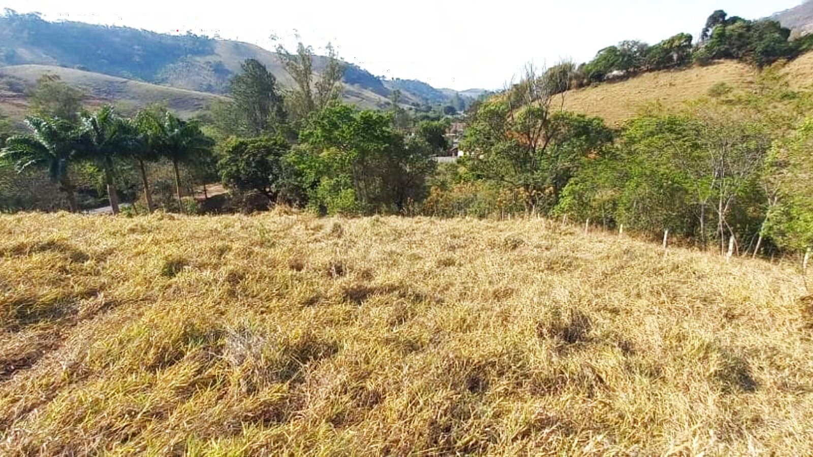 Terreno de aproximadamente 5.000 m² em Anhumas